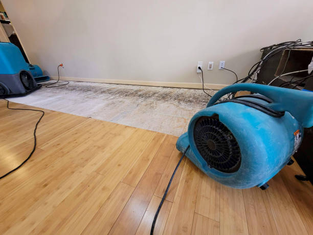Professional Water Damage Repair technician working in Stamford, CT